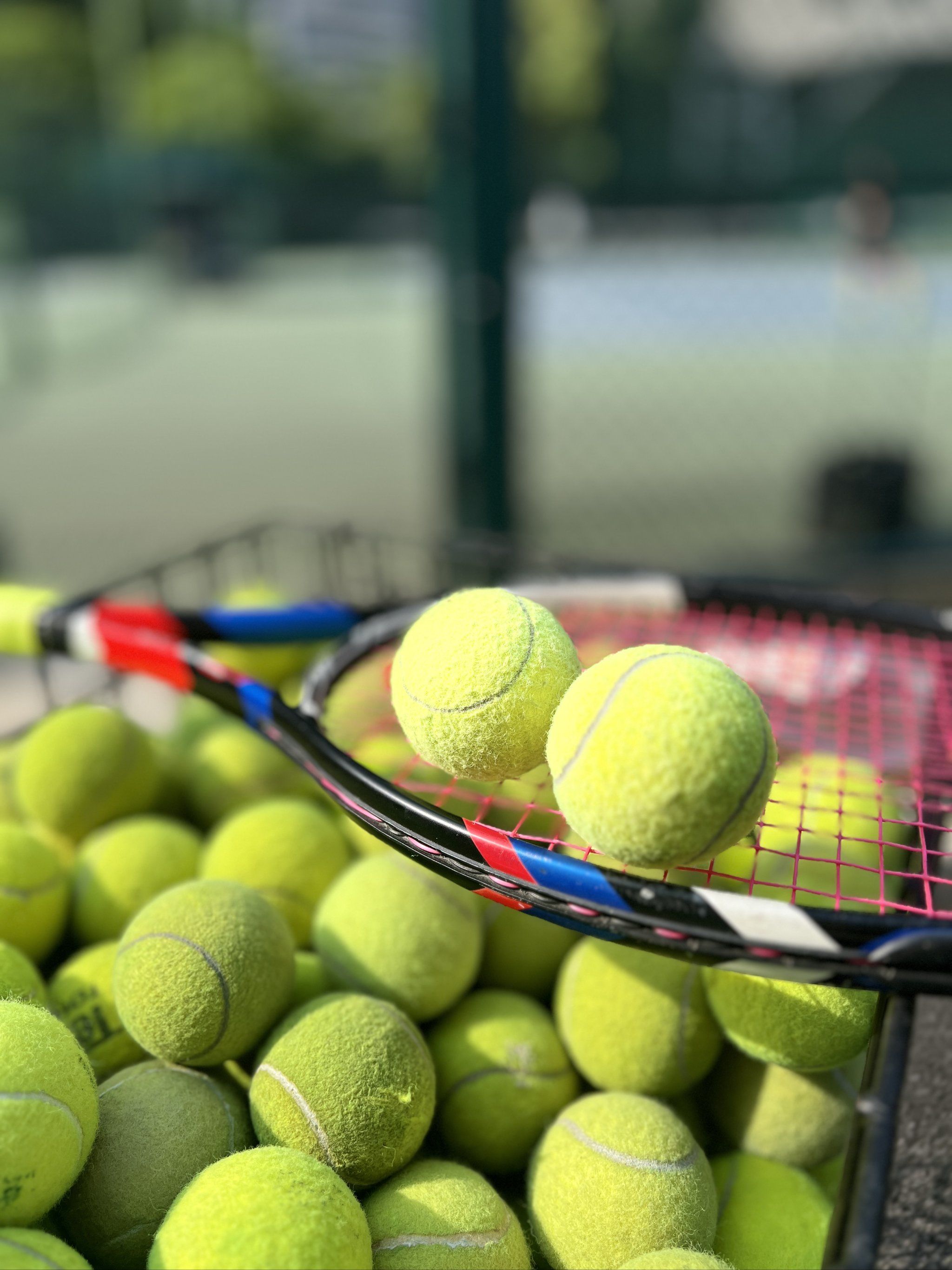 保罗不仅带 保罗不仅带