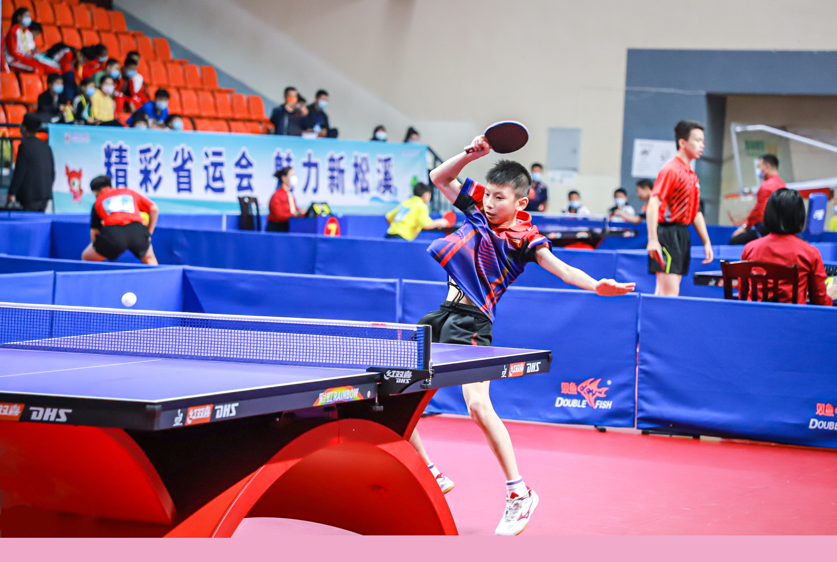 尼现身欧冠 尼现身欧冠