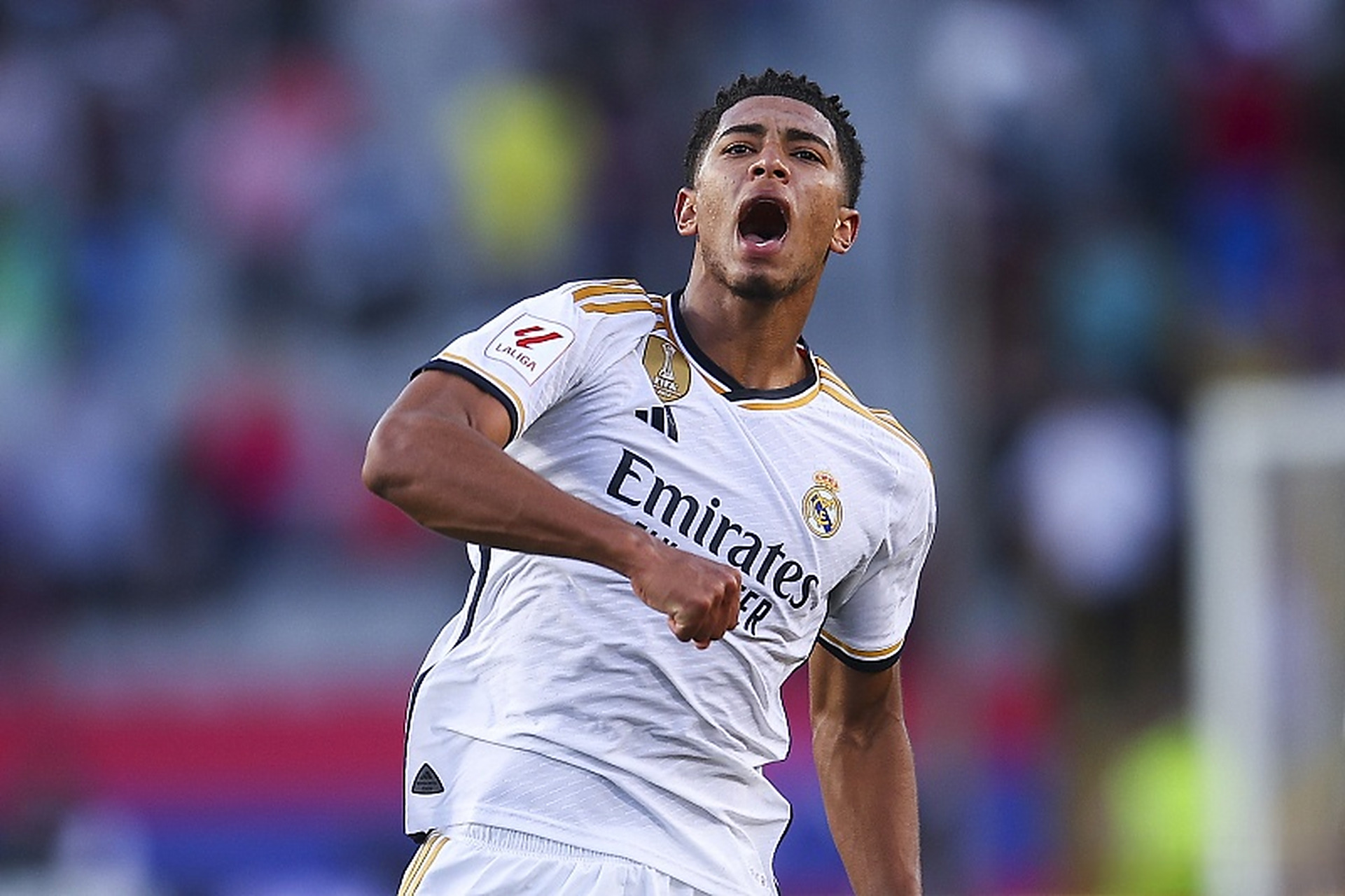 你可试探加 你可试探加