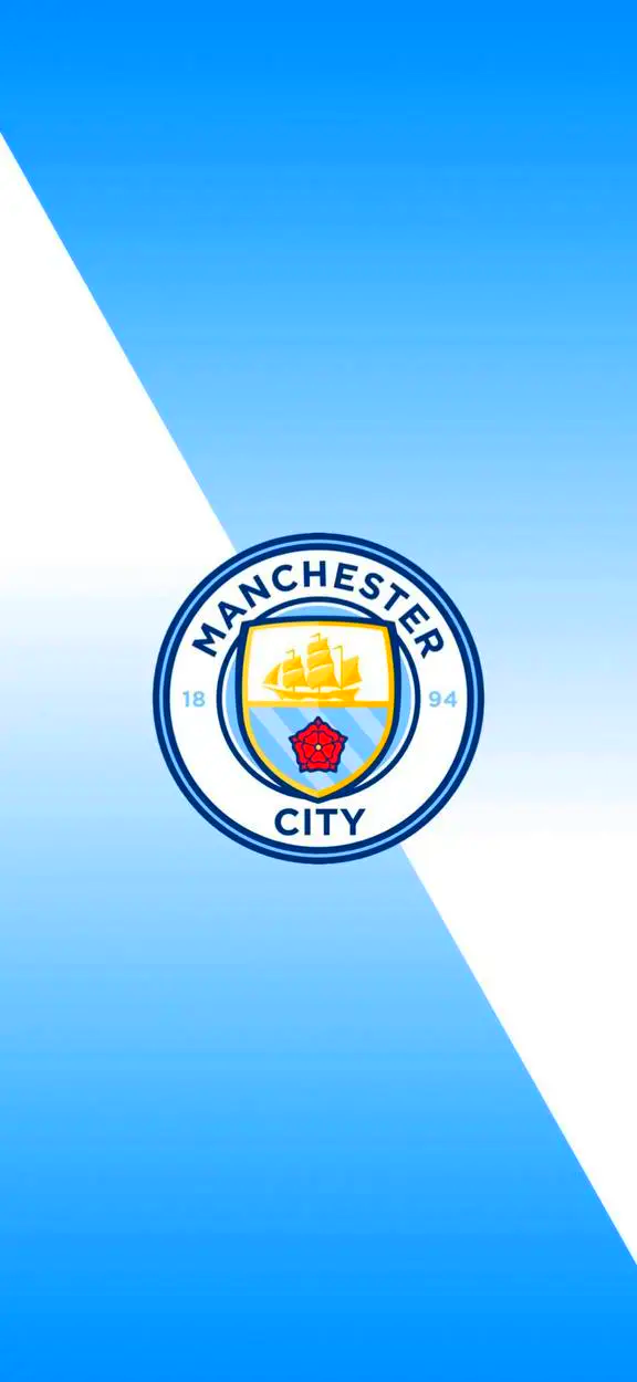 用信息与期 用信息与期